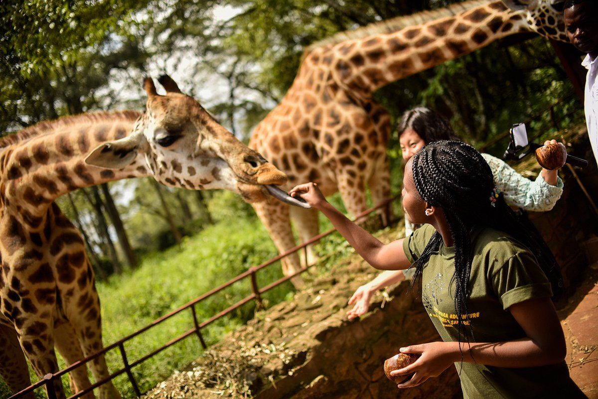 3 days in Kenya