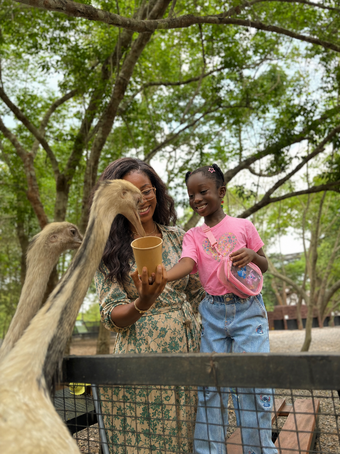 Safari Eco Park