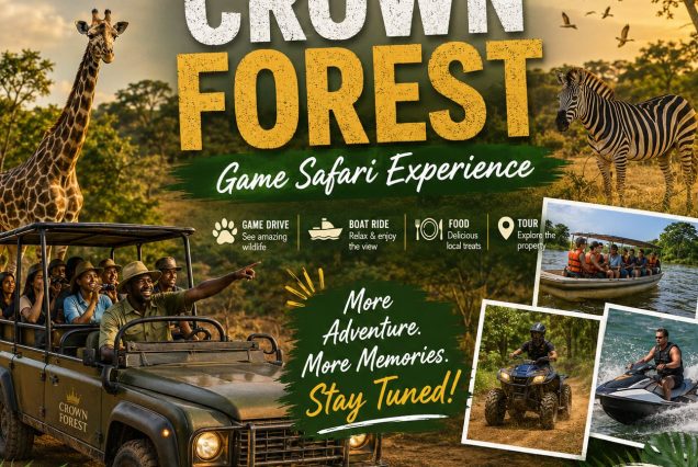 Crown Forest - Game Safari Experience